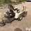 grasshopper-614-image-5