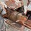 ford-8n-image-25