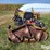 land-pride-zr52-image-11