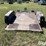 shop-built-trailer-image-6