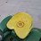 john-deere-110-image-8
