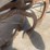wooden-garden-cultivator-image-3