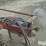 international-710-image-10