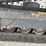2016-bobcat-t750-image-34
