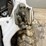 2021-bobcat-s64-image-11