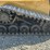 caterpillar-247b3-image-54