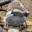 westgo-gs20-image-14