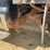 2005-ford-f250-image-30