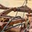 krause-4960-image-20