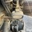 2015-elgin-broom-bear-image-20