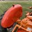 1949-allis-chalmers-wd-image-17