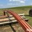 hesston-1014-image-15