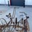 metal-horse-drawn-cultivator-image-7