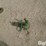 1989-john-deere-328-image-11