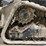 2022-bobcat-t64-image-20