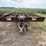 lahman-13x28-image-2