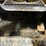 2016-caterpillar-259d-image-33