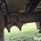 2011-chevrolet-express-3500-image-20