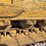caterpillar-953b-image-71
