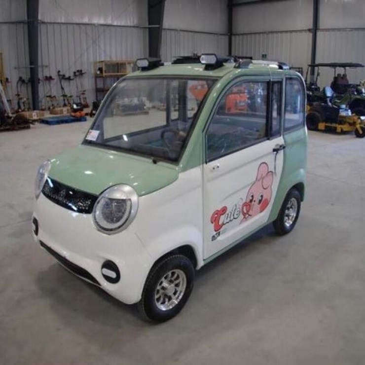 INOPERABLE Raccoon RC-G150 Electric Utility Vehicl