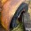 hyster-h80c-image-11