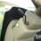 2019-john-deere-f4365-image-106