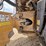 2021-volvo-a60h-image-27