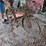 1930's-schwinn-bicycle-image-3