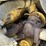 caterpillar-247b3-image-38