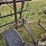 northern-wisconsin-wds45-image-12