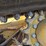 caterpillar-259d-image-57
