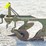 john-deere-2-image-6