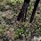 great-plains-solid-stand-30-image-9