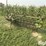deere-350a-image-1