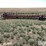 international-20-image-2