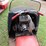 1969-scorpion-mark-ii-snowmobile-image-7