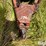 a&l-650t-image-9