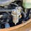 case-cx27b-image-39