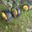 john-deere-er014-image-14