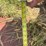bush-hog-sq72r-3-image-12