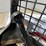 2015-bobcat-s510-image-21