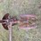 john-deere-2-image-17
