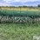 john-deere-200-image-6