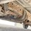 1999-ford-f350-image-72
