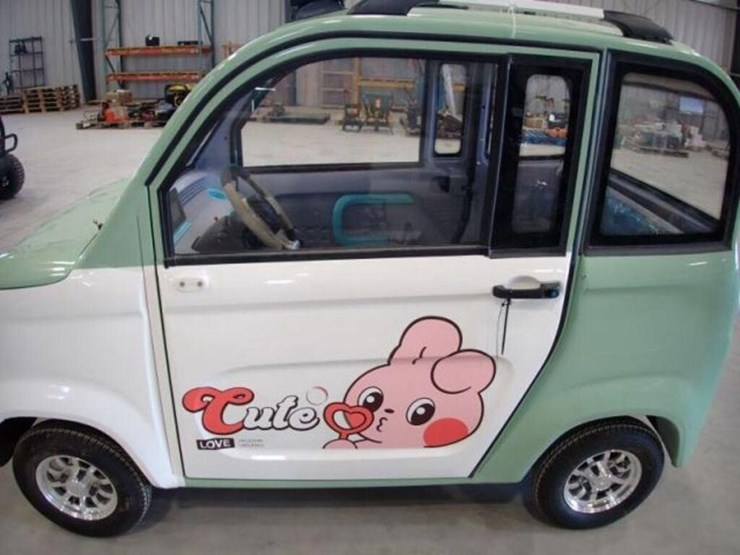 inoperable-raccoon-rc-g150-electric-utility-vehicl-image-32