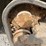 2016-takeuchi-tl8-image-18