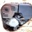 stone-wolfpac-2500-image-17