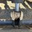 bobcat-t200-image-16