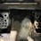 2012-bobcat-t650-image-31
