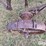 john-deere-2-image-19